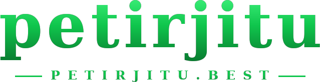 petirjitu logo